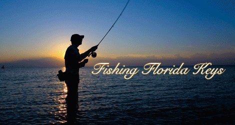  fishing options backcountry fishing flats fishing deep sea fishing