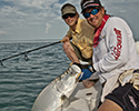 tarpon fishing charters of the Florida Keys