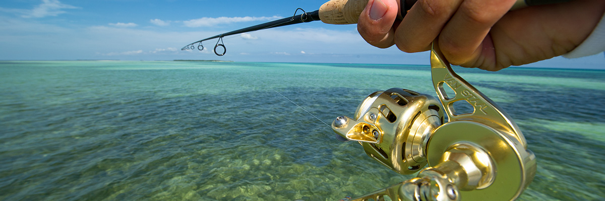 fishing reel over pretty water