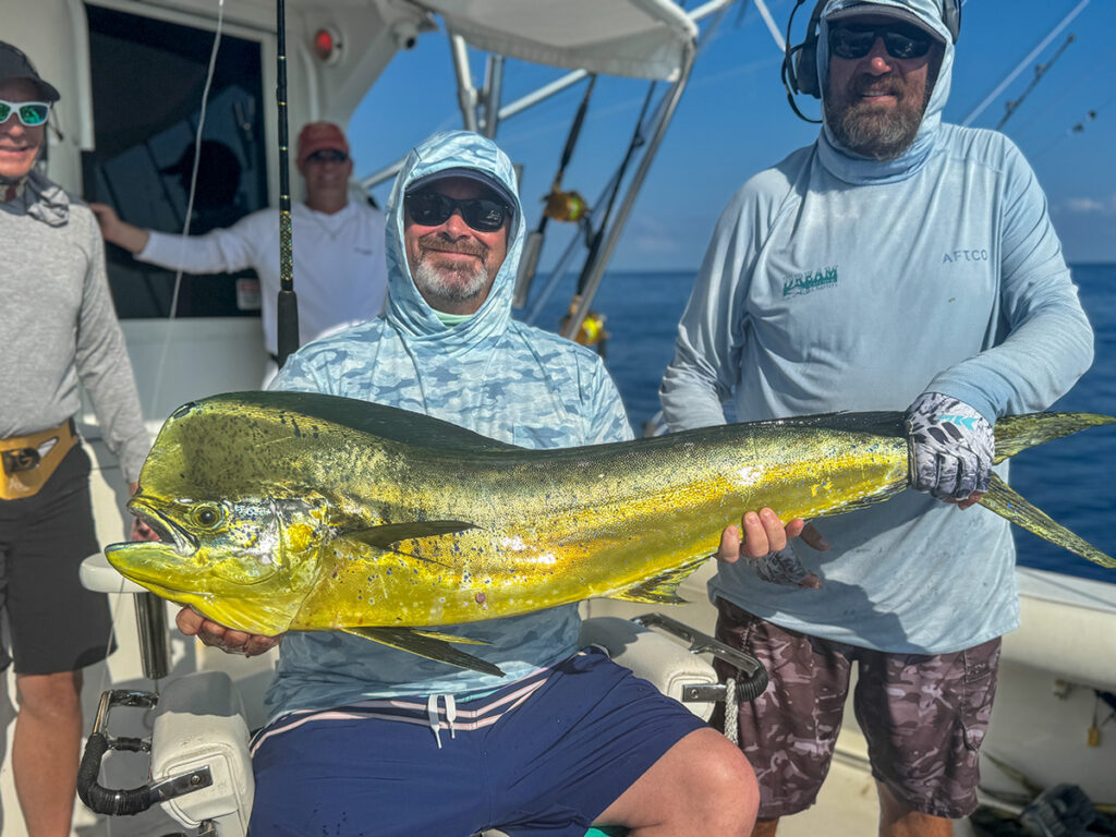 Septemer Mahi Mahi dolphin fish