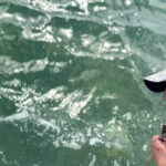 backcountry fishing report