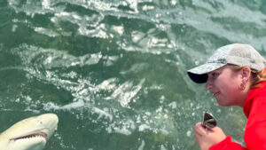 backcountry fishing report