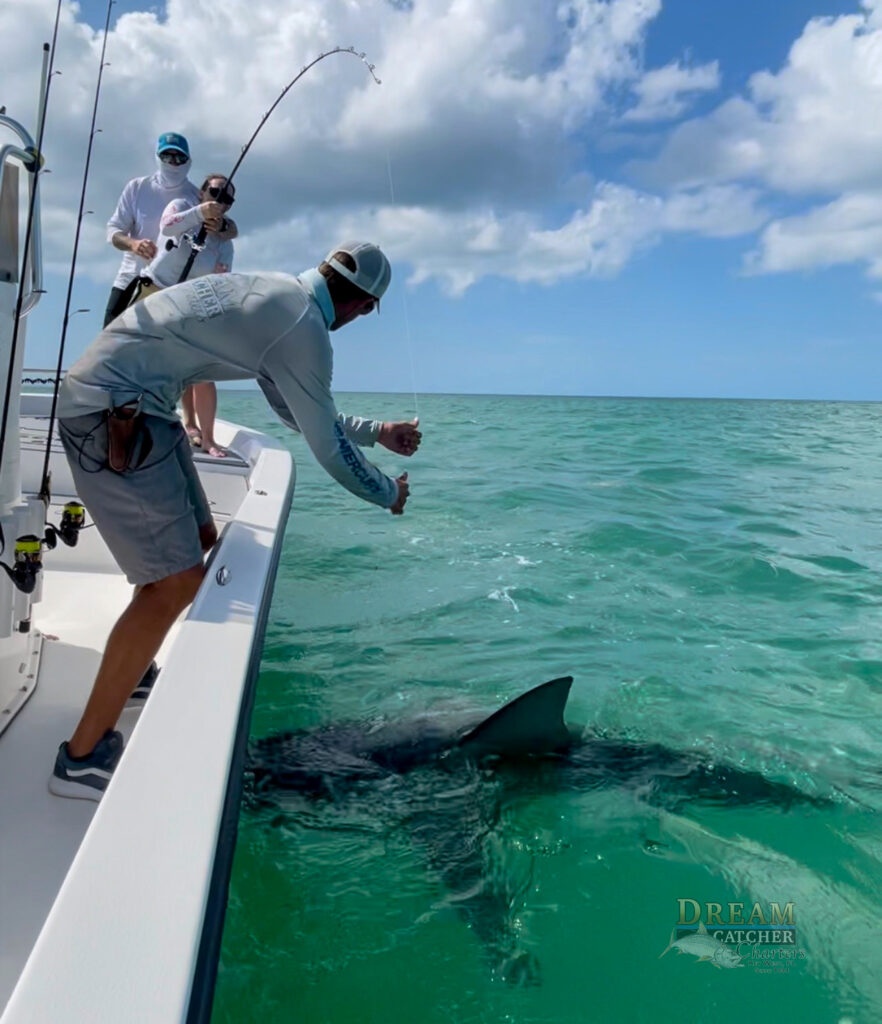 Shark Fishing Key West