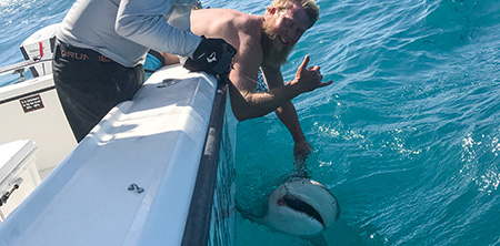 Florida key shark fishing Wares The Fish charters