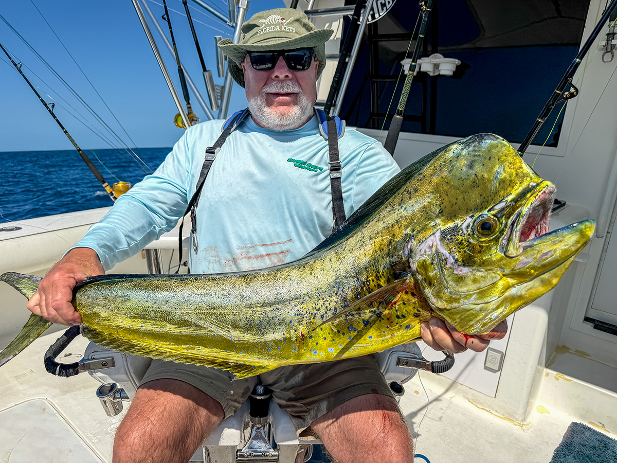 deep sea fishing mahi mahi dolphin