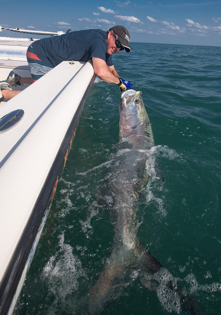 Key West fishing for tarpon