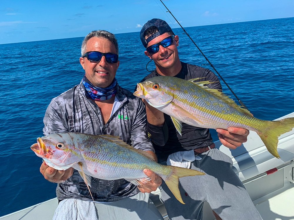 Florida Keys fishing report yellowtail snapper