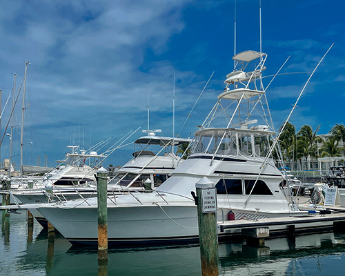 Read more about the article Charter Boat INXS